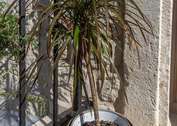 Kamena U Mirnoj Ulici Blizu Centra Trogira